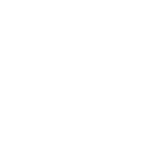 Steam